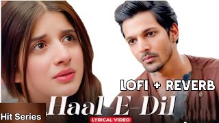 HAAL E DIL MERA || LOFI +REVERB |SANAM TERI KASAM || NEW SONG 2025 |NITI MOHAN