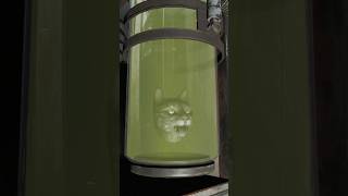 Fallout 4 Automatron’s Disturbing Cut Content