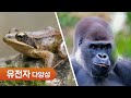 ewha×k mooc 생물다양성과 생물자원