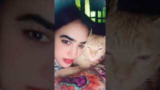 Tiggi billa \u0026 Me|playing with tiggi|خاموش ٹگی🧐|#shorts