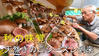 秋の味覚・天然キノコの季節到来・群馬・桐生