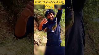 రెండు కోసం try చేస్తే ఒక్క చేప పడింది #షార్ట్స్ #trending #viralvideo #fishing #fish #telugufishing