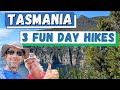 3 Fun Day Hikes in Tasmania. Full Time Travel Nomads in Tasmania