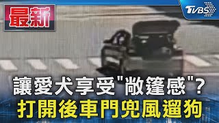 讓愛犬享受「敞篷感」? 打開後車門兜風遛狗｜TVBS新聞 @TVBSNEWS01