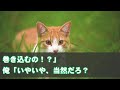 【スカッとする話】俺の口座から金を持ち逃げして浮気相手と駆け落ちした妻から誤爆line→居場所を掴んだ俺は、怒涛の復讐を遂げる！