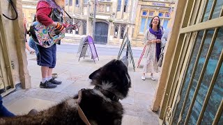 Amazing Public street Busker sings to my Husky, SO CUTE!