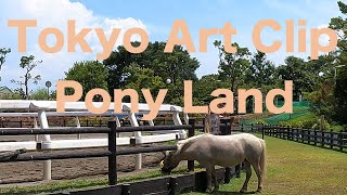 Tokyo art clip / pony land / GoPro Hero 9 / Tokyo walk 4K