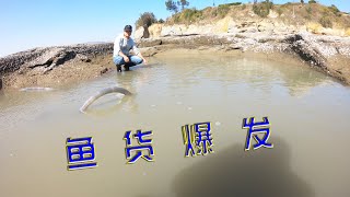 撒满饵料的龙王坑异常浑浊，坑底鱼货爆发什么品种都有，大赚几百