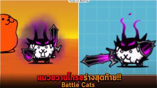 แมวขวานโกรธร่างสุดท้าย Battle Cats