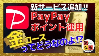 【PayPay】新コース誕生！、PayPayポイント運用の金（ゴールド）コースに投資する価値はあるのか?真剣に考えてみた。