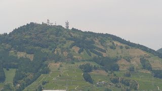 茶文字の里新茶風景