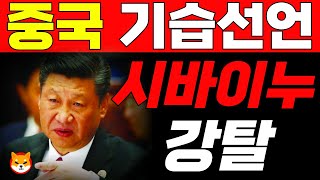 시바이누코인 포착된 중국 장외시장의 움직임🚨🚨료시는 중국인인가🚀🚀