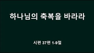 뉴저지 사랑침례교회 2025년 01월 01일 송구영신 예배