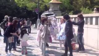 Jinguubashi Lolita fashion Harajuku girls(((o(*ﾟ▽ﾟ*)o)))Cat