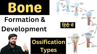 Formation and Development of Bone in Hindi | Ossification of Bone | Intramembranous \u0026 Endochondral