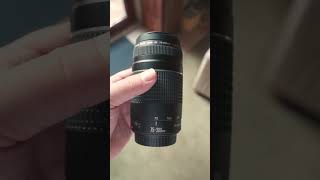 How Far Can They Zoom In? Canon EF 75-300mm vs EF-S 18-55mm