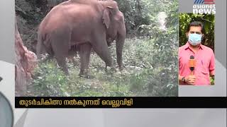 വായിൽ മുറിവേറ്റ കാട്ടാന ഗുരുതരാവസ്ഥയില്‍ | Elephant Injuiry