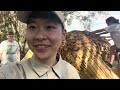 【澳洲生活旅遊 】西澳尋寶 巨人 遊戲 回收藝術家thomas dambo’s mandurah giants 木頭全是使用回收♻️再利用的木頭去搭建而成的🪵 shane’s vlog 25