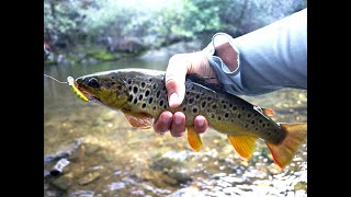 Високо в планината за пъстърви. Up in the mountain for  Brown trout.