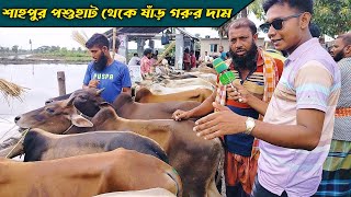 খুলনা জেলার শাহপুর পশুহাট থেকে দেশাল ষাঁড় গরু কিনুন || ৫৭ হাজার টাকা লাটে ষাঁড় গরু!!