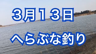 【へらぶな釣り】【早春】【田舎暮らし】【伊豆沼】楽しい釣り【宮城県でスローライフ