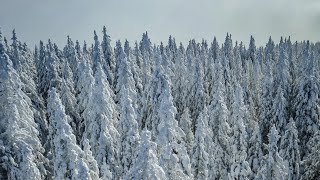 Zimska fantazija: Vinarium Lendava, Pot med krošnjami i Maribor ❄️ | Potepuh Putovanja