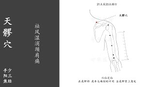 人体穴位239：天髎：祛风湿消颈肩痛，用拇指按揉天髎穴100～200次，每天坚持，可缓解肩臂痛、落枕等 20220224