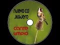 Cd Jilguero Cante Limpio