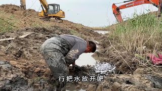 河道改造，挖掘机在河里挖出一道深沟，抽干它，抓了满满一桶鱼