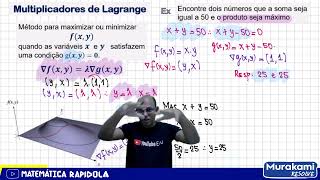 MÉTODO DOS MULTIPLICADORES DE LAGRANGE 🚨🚨