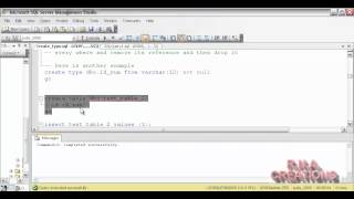 sql server 2008 - user defined type