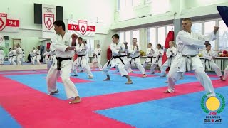 Kosho Kanayama seminar 2019 - Tekki Shodan Kata