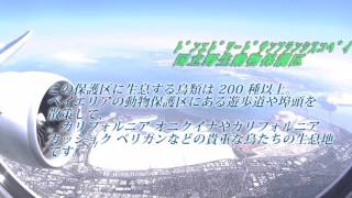 サンフランシスコ国際空港着陸時の飛行ルートと映像