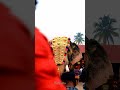 ഏവൂര്‍ കണ്ണന്റെ ആറാട്ട് 2024 evoor sreekrishna temple evoor evoor temple travelvlog