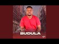 VAJULUKINI (feat. DJ MAEVO & NKWAMBA)