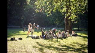 Stockholm's Top 6 Picnic Locations