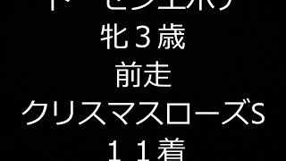 フェアリーステークス２０１８登録馬