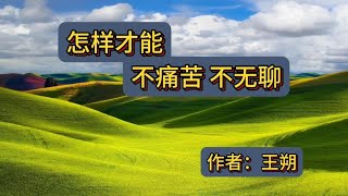 《怎样才能，不痛苦不无聊》作者：王朔