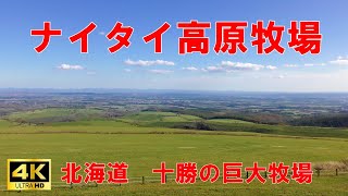 北海道十勝ドライブ　ナイタイ高原牧場　【北海道・十勝の巨大公営牧場　360度地平線まで広がる超絶景！】　【Hokkaido Tokachi Naitai Kogen Ranch】