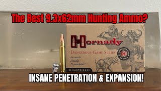 9.3x62mm Gel Test: Surprising Results From Hornady's 9.3x62mm 286gr InterLock Load