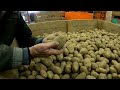 farmvlog 217 delivering onions and potatoes sorting logs