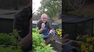 Aussie Gardener Pestfree Covers