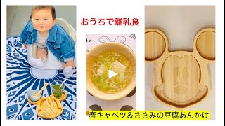 春キャベツ＆ささみの豆腐あんかけ﻿ by おうちで離乳食 離乳食中期レシピ