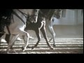 cómo bailan los caballos andaluces