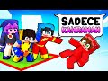 SÜPER KAHRAMAN Olarak ADADA KİLİTLENDİK! - Minecraft