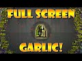 Endless Garlic Upgrades! | Vampire Survivors