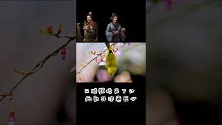 《蜀相》唐朝·杜甫丞相祠堂何处寻？锦官城外柏森森。映阶碧草自春色，隔叶黄鹂空好音。三顾频烦天下计，两朝开济老臣心。出师未捷身先死，长使英雄泪满襟。七言律诗~