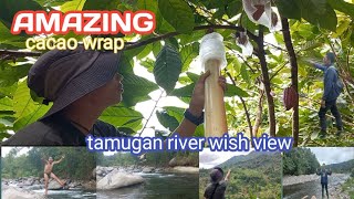 Amazing|Paano mag balot ng cacao verry Easy|with River & View