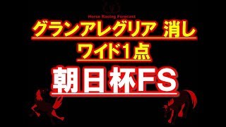 朝日杯フューチュリティＳ2018【グランアレグリア　消し】ワイド1点