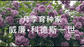 从德国小镇到全球盛名：Wilhelm Kordes I 的月季育种之旅｜月季｜玫瑰｜育种家｜现代月季奠基者｜德国｜Kordes roses｜German rose breeder